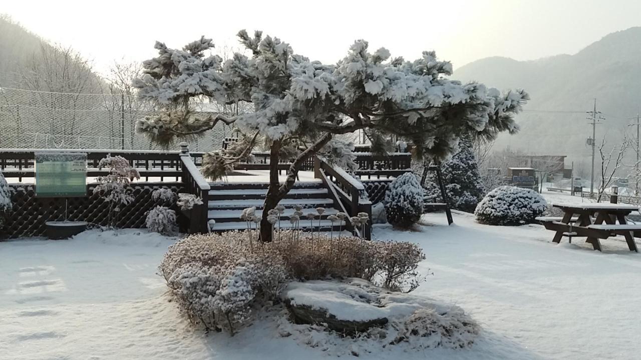 Forest Of Color Pension Hongcheon Buitenkant foto