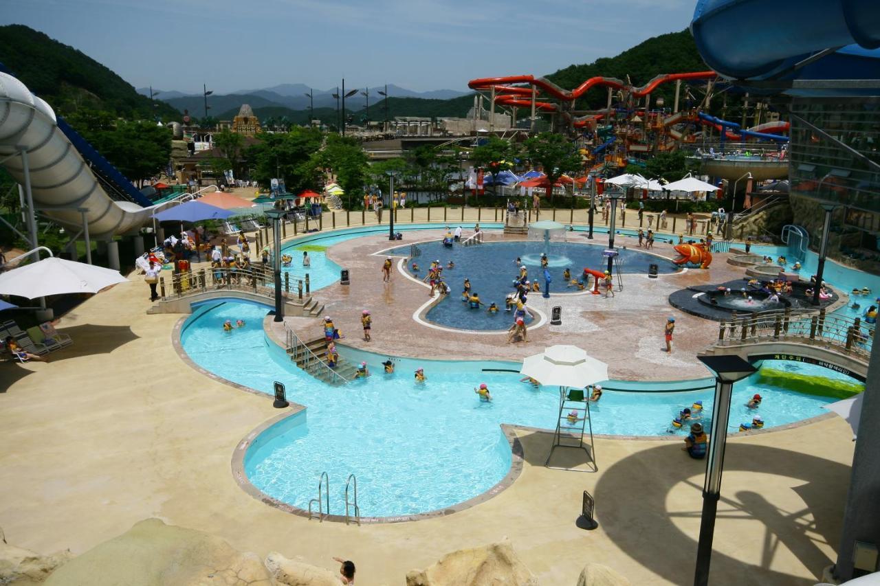 Forest Of Color Pension Hongcheon Buitenkant foto